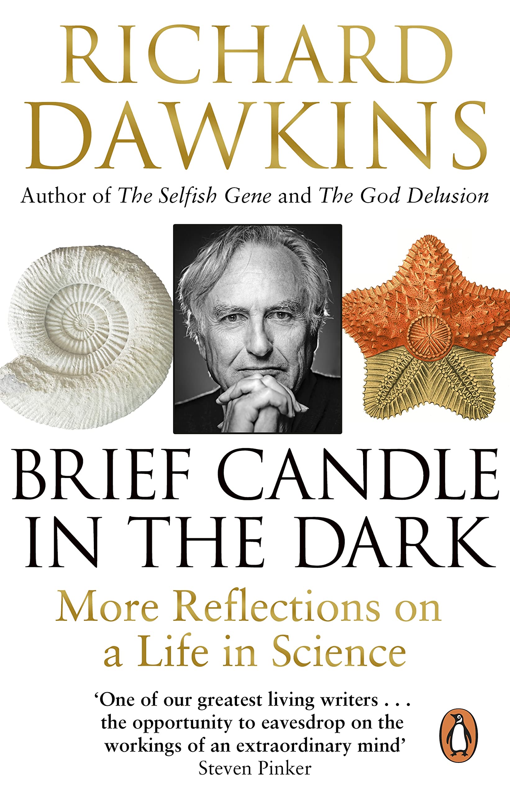 Brief Candle in the Dark cover